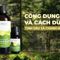 Công Dụng Và Lợi Ích Của TInh Dầu Sả cho Tóc, Da và Ngôi Nhà Của Chúng Ta.